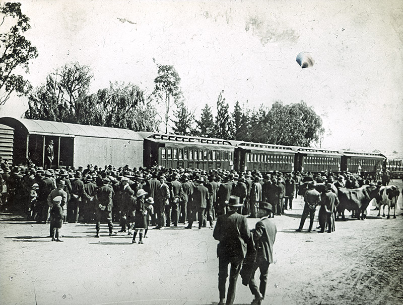 8 - (uncaptioned) Better Farming Train.jpg - 8 - Better Farming Train  More information (excerpt below) about the Better Farming Train can be found on the  Victorian Energy & Earth Resources website .  The Better Farming Train steamed out of Melbourne for the first time in October 1924 bound for Gippsland. An engine towing fifteen carriages painted bright orange made a striking picture.  Each carriage was fitted out with agricultural displays. Pigs, cows, poultry, bees, dairy utensils, potatoes, bacon, tobacco, manure, fodder and pasture samples and a range of expert lecturers were among items of interest carried on the train.  The Better Farming Train was developed by co-operation between the Departments of Agriculture, Railways, Education and Public Health. It was a public education effort intended to improve farming techniques and raise agricultural production. The train made approximately thirty-eight tours of rural Victoria between 1924 and 1935. Each tour visited ten regional centres, with one day spent at each centre.